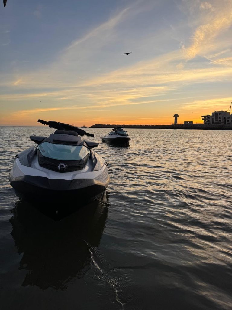 3a032154 b203 4e4c 92b5 3f85e1606e33